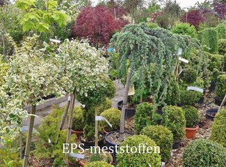 Pot and Bedding Plants 