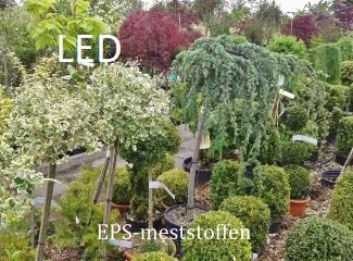 Pot and bedding plants under LED light