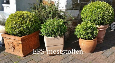 EPS buxus