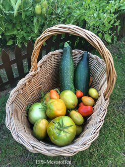 Information about fertilizing your vegetable garden.