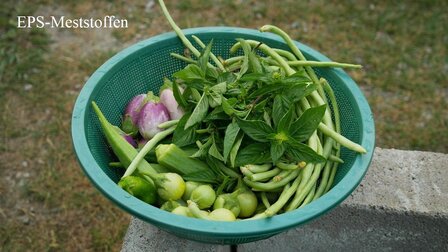 Informations pour la gestion d&#039;un jardin d&#039;herbes aromatiques.